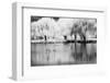 USA, Washington State, Eastern Washington. Weeping willow tree reflecting in pond-Terry Eggers-Framed Photographic Print