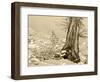 USA, Washington State. Enchantment lakes, larch trunk and fir tree.-Jamie & Judy Wild-Framed Photographic Print