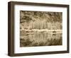 USA, Washington State. Enchantment lakes, snow on larch trees reflected in Gnome Tarn.-Jamie & Judy Wild-Framed Photographic Print