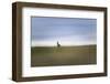 USA, Washington State. European rabbit pokes head out of den.-Yuri Choufour-Framed Photographic Print