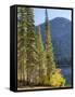 USA, Washington State. Evergreens standing tall with Cooper Lake and Autumn color.-Terry Eggers-Framed Stretched Canvas