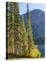 USA, Washington State. Evergreens standing tall with Cooper Lake and Autumn color.-Terry Eggers-Stretched Canvas