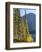 USA, Washington State. Evergreens standing tall with Cooper Lake and Autumn color.-Terry Eggers-Framed Photographic Print