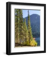 USA, Washington State. Evergreens standing tall with Cooper Lake and Autumn color.-Terry Eggers-Framed Photographic Print