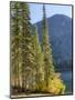 USA, Washington State. Evergreens standing tall with Cooper Lake and Autumn color.-Terry Eggers-Mounted Photographic Print