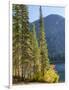 USA, Washington State. Evergreens standing tall with Cooper Lake and Autumn color.-Terry Eggers-Framed Photographic Print