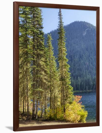 USA, Washington State. Evergreens standing tall with Cooper Lake and Autumn color.-Terry Eggers-Framed Photographic Print