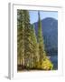 USA, Washington State. Evergreens standing tall with Cooper Lake and Autumn color.-Terry Eggers-Framed Photographic Print