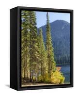 USA, Washington State. Evergreens standing tall with Cooper Lake and Autumn color.-Terry Eggers-Framed Stretched Canvas