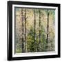 USA, Washington State, Fall City Cottonwoods budding out in the spring along the Snoqualmie River-Sylvia Gulin-Framed Photographic Print