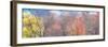 USA, Washington State, Fall City, Pacific NW spring cottonwood, alder, evergreens and Maple Trees-Sylvia Gulin-Framed Photographic Print