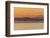 USA, Washington State, Ferry in evening light. Calm Puget Sound.-Trish Drury-Framed Photographic Print