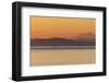 USA, Washington State, Ferry in evening light. Calm Puget Sound.-Trish Drury-Framed Photographic Print