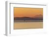 USA, Washington State, Ferry in evening light. Calm Puget Sound.-Trish Drury-Framed Photographic Print