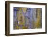 USA, Washington State, Fort Flagler State Park. Abstract pattern of weathered wall.-Jaynes Gallery-Framed Photographic Print