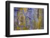 USA, Washington State, Fort Flagler State Park. Abstract pattern of weathered wall.-Jaynes Gallery-Framed Photographic Print