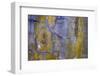 USA, Washington State, Fort Flagler State Park. Abstract pattern of weathered wall.-Jaynes Gallery-Framed Photographic Print
