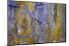 USA, Washington State, Fort Flagler State Park. Abstract pattern of weathered wall.-Jaynes Gallery-Mounted Photographic Print