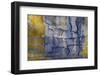 USA, Washington State, Fort Flagler State Park. Abstract pattern panoramic of weathered wall.-Jaynes Gallery-Framed Photographic Print