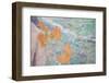 USA, Washington State, Fort Hayden. Abstract Details of Painted Wall-Don Paulson-Framed Photographic Print