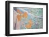 USA, Washington State, Fort Hayden. Abstract Details of Painted Wall-Don Paulson-Framed Photographic Print