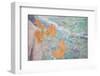 USA, Washington State, Fort Hayden. Abstract Details of Painted Wall-Don Paulson-Framed Photographic Print