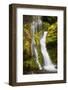 USA, Washington State, Gifford Pinchot National Forest. Panther Creek Falls along Panther Creek.-Christopher Reed-Framed Photographic Print