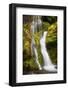 USA, Washington State, Gifford Pinchot National Forest. Panther Creek Falls along Panther Creek.-Christopher Reed-Framed Photographic Print