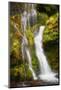 USA, Washington State, Gifford Pinchot National Forest. Panther Creek Falls along Panther Creek.-Christopher Reed-Mounted Photographic Print