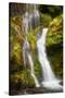 USA, Washington State, Gifford Pinchot National Forest. Panther Creek Falls along Panther Creek.-Christopher Reed-Stretched Canvas