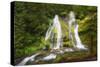 USA, Washington State, Gifford Pinchot National Forest. Panther Creek Falls along Panther Creek.-Christopher Reed-Stretched Canvas