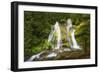 USA, Washington State, Gifford Pinchot National Forest. Panther Creek Falls along Panther Creek.-Christopher Reed-Framed Photographic Print