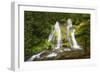 USA, Washington State, Gifford Pinchot National Forest. Panther Creek Falls along Panther Creek.-Christopher Reed-Framed Photographic Print