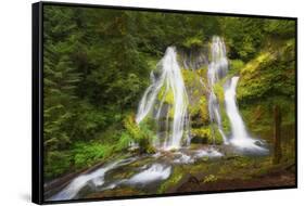 USA, Washington State, Gifford Pinchot National Forest. Panther Creek Falls along Panther Creek.-Christopher Reed-Framed Stretched Canvas