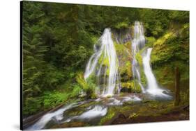 USA, Washington State, Gifford Pinchot National Forest. Panther Creek Falls along Panther Creek.-Christopher Reed-Stretched Canvas