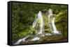 USA, Washington State, Gifford Pinchot National Forest. Panther Creek Falls along Panther Creek.-Christopher Reed-Framed Stretched Canvas