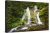 USA, Washington State, Gifford Pinchot National Forest. Panther Creek Falls along Panther Creek.-Christopher Reed-Stretched Canvas