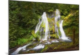 USA, Washington State, Gifford Pinchot National Forest. Panther Creek Falls along Panther Creek.-Christopher Reed-Mounted Photographic Print