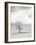 USA, Washington State. Infrared of lone tree in wheat field.-Terry Eggers-Framed Photographic Print