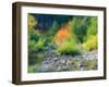 USA, Washington State, Kittitas County. Small creek surrounded by vine maples in the fall.-Julie Eggers-Framed Photographic Print