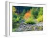 USA, Washington State, Kittitas County. Small creek surrounded by vine maples in the fall.-Julie Eggers-Framed Photographic Print