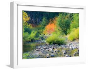 USA, Washington State, Kittitas County. Small creek surrounded by vine maples in the fall.-Julie Eggers-Framed Photographic Print