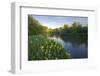 USA, Washington State, Little Spokane River Natural Area, Riverside State Park-Charles Gurche-Framed Photographic Print