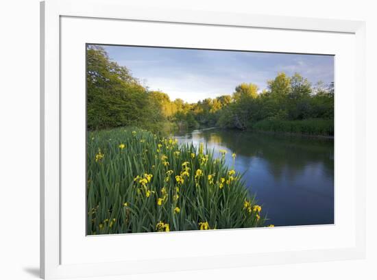 USA, Washington State, Little Spokane River Natural Area, Riverside State Park-Charles Gurche-Framed Photographic Print