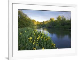 USA, Washington State, Little Spokane River Natural Area, Riverside State Park-Charles Gurche-Framed Photographic Print