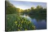 USA, Washington State, Little Spokane River Natural Area, Riverside State Park-Charles Gurche-Stretched Canvas