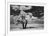 USA, Washington State, Lone tree in field in wheat-Terry Eggers-Framed Photographic Print