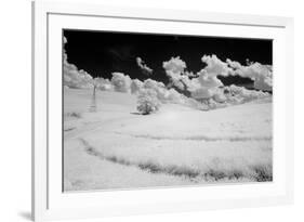 USA, Washington State, Lone tree in field of wheat-Terry Eggers-Framed Photographic Print