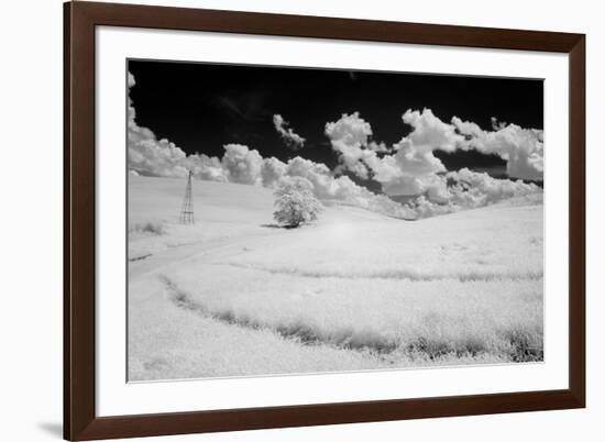 USA, Washington State, Lone tree in field of wheat-Terry Eggers-Framed Photographic Print