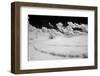 USA, Washington State, Lone tree in field of wheat-Terry Eggers-Framed Photographic Print